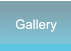 Gallery Gallery